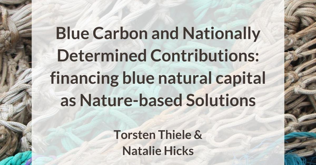 Blue Carbon and Nationally Determined Contributions: financing blue ...